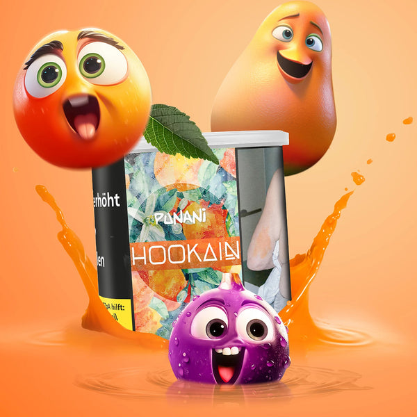 Hookain Punani 200g